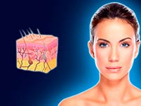 dermatologia