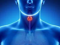 endocrinologista