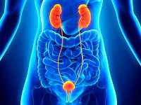urologia-e1506949301792